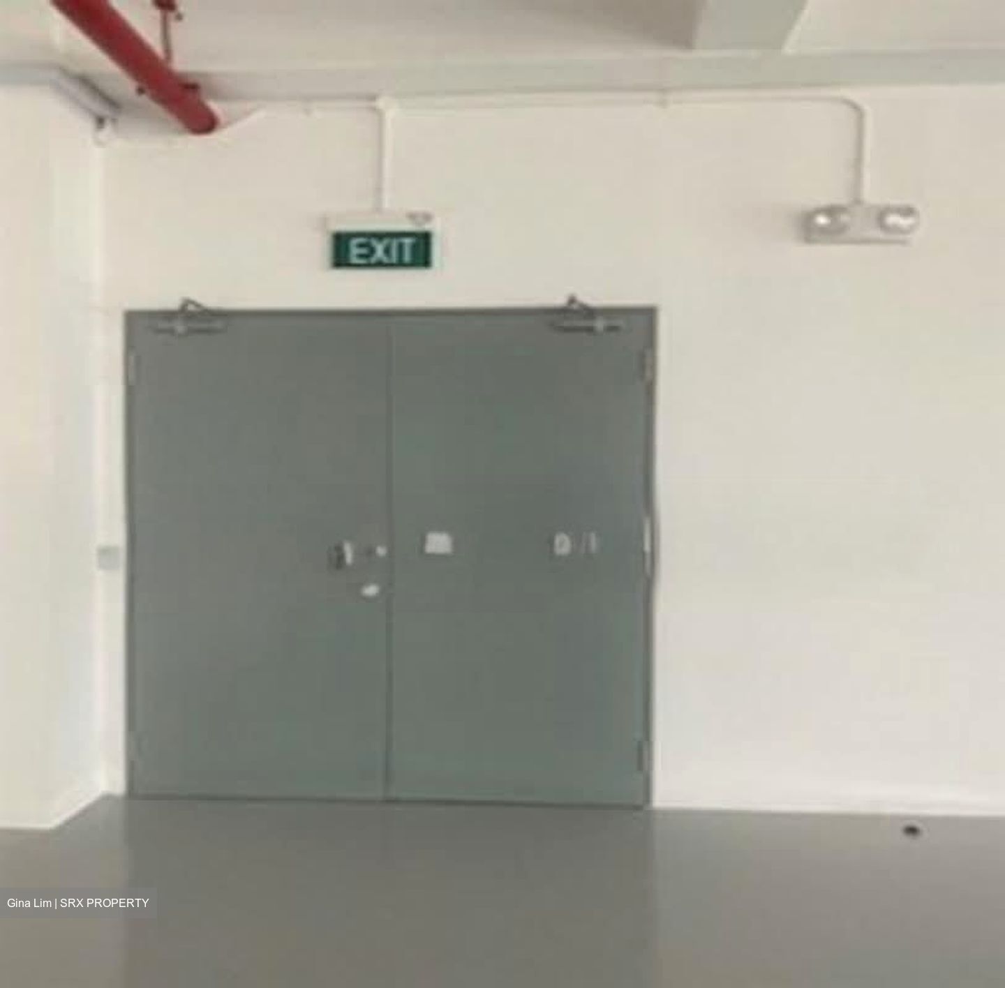 Perfect One (D13), Factory #541625881